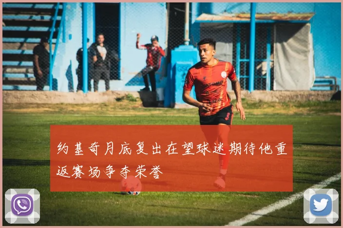 约基奇月底复出在望球迷期待他重返赛场争夺荣誉